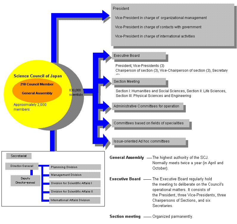 Organization of SCJ