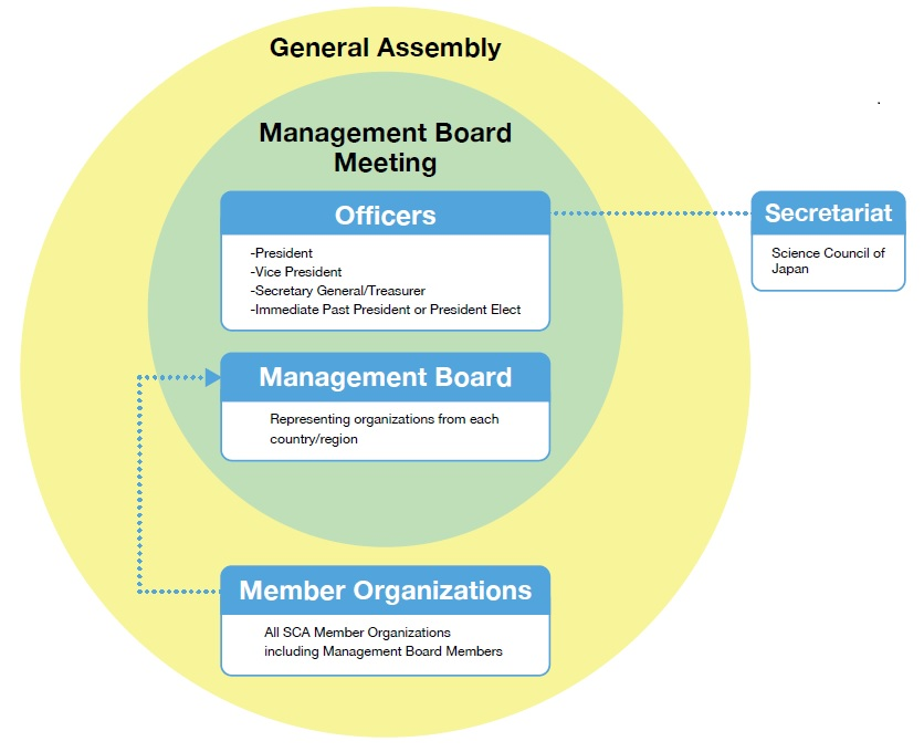 Organizational Structure