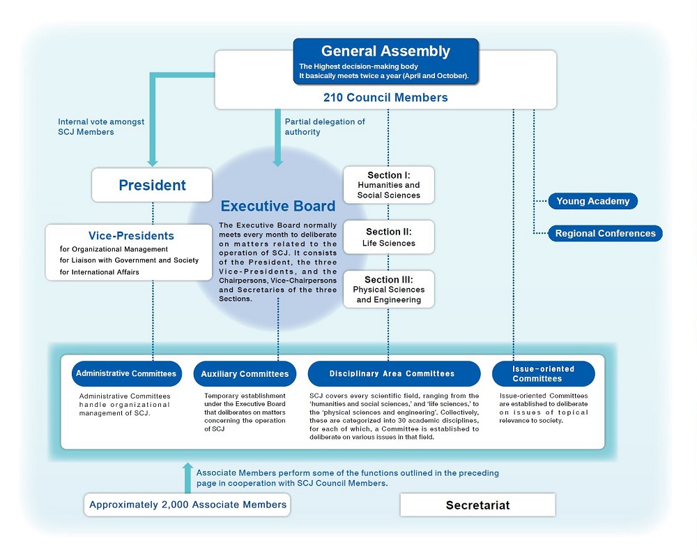 Organization of The SCJ