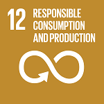 Goal 12. Ensure sustainable consumption and production patterns