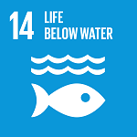 Goal 14. Conserve and sustainably use the oceans, seas, and marine resources for sustainable development