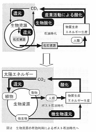 }2 ̗Lpɂ|XgΖ