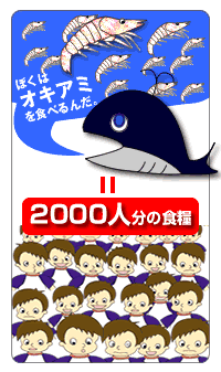 クジラと人の食糧比較