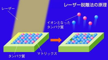 図1：レーザー脱離法の原理